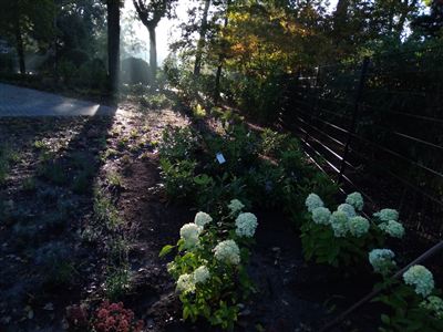 Professionele bestrating en tuinaanleg